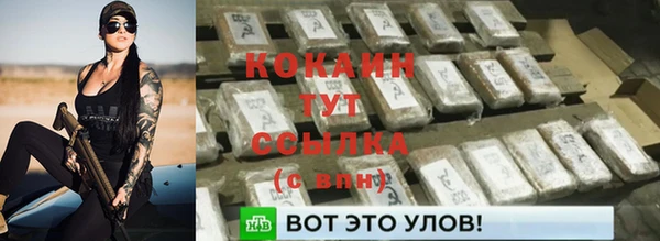 сатива Бородино