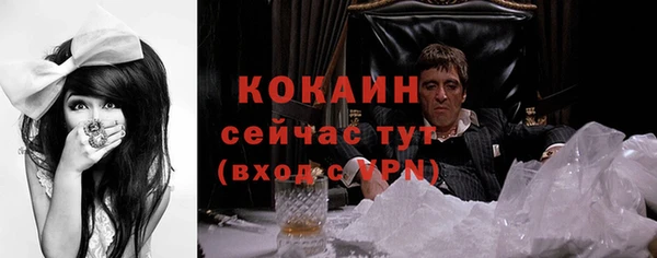 сатива Бородино