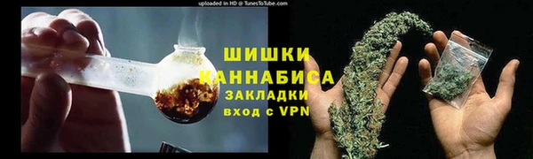 сатива Бородино