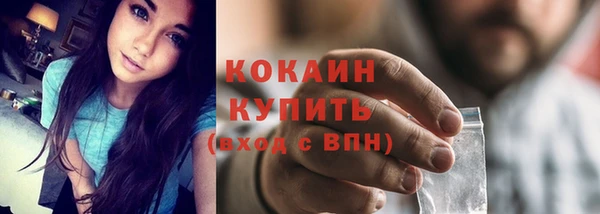сатива Бородино