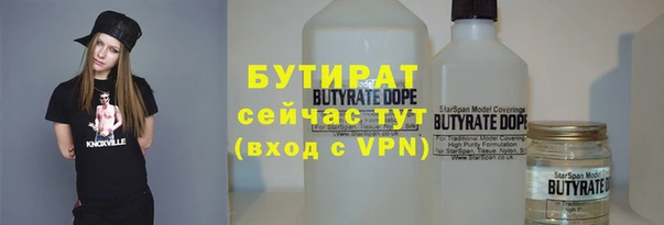 сатива Бородино