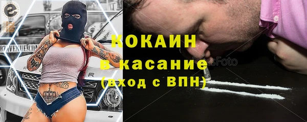 сатива Бородино