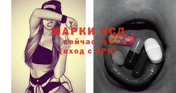 сатива Бородино