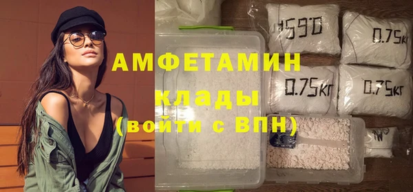 сатива Бородино
