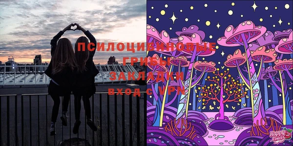 сатива Бородино