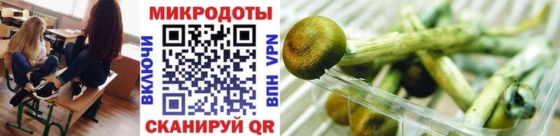 площадка наркотические препараты Невьянск Галлюциногенные грибы Cubensis
